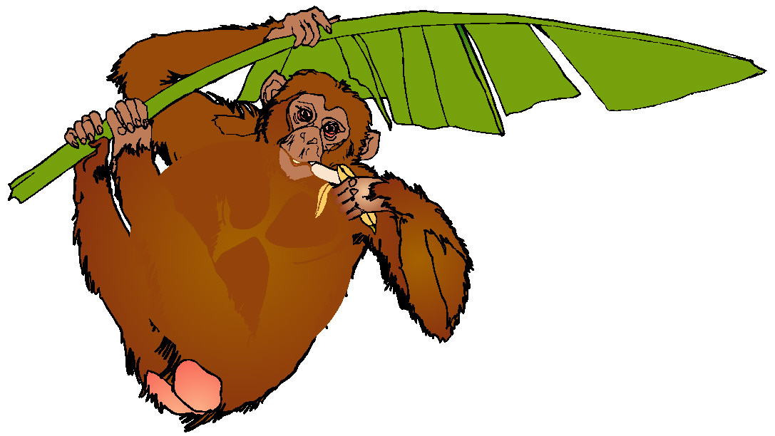 Monkeys clip art