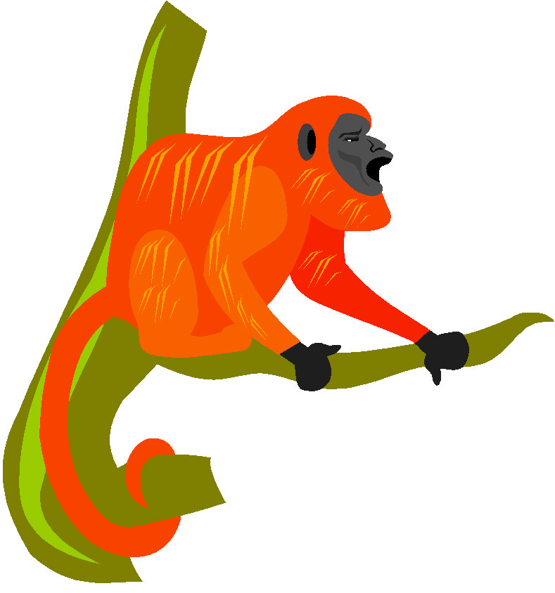 Monkeys clip art