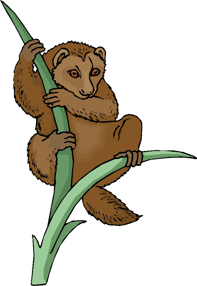 Monkeys clip art