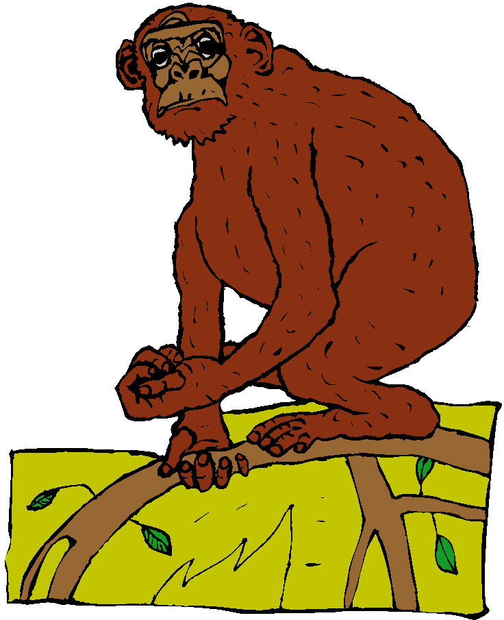 Monkeys clip art