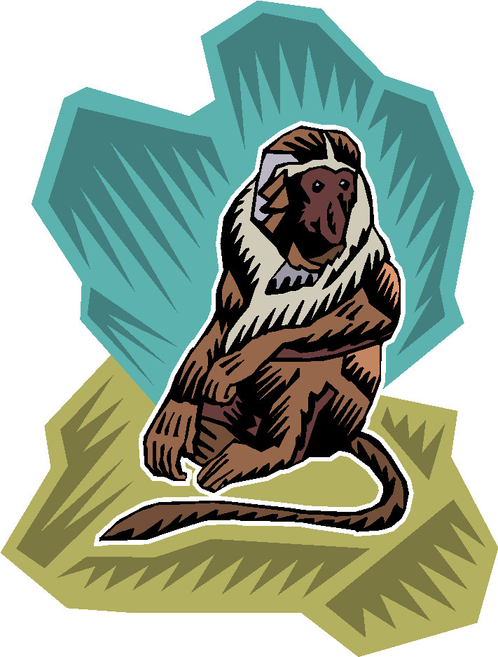 Monkeys clip art