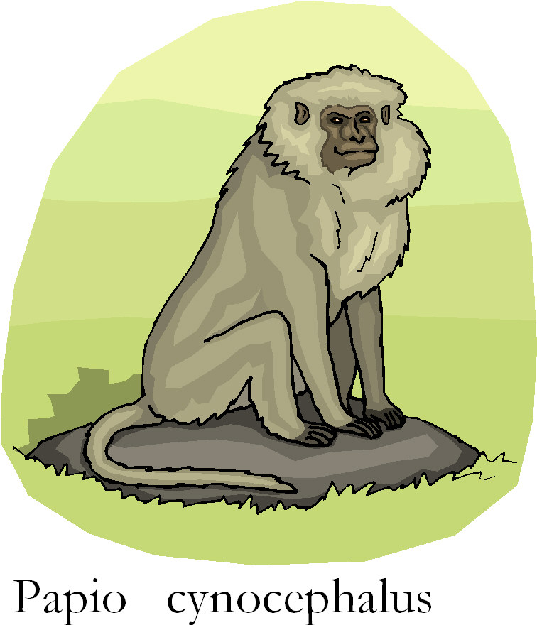 Monkeys clip art