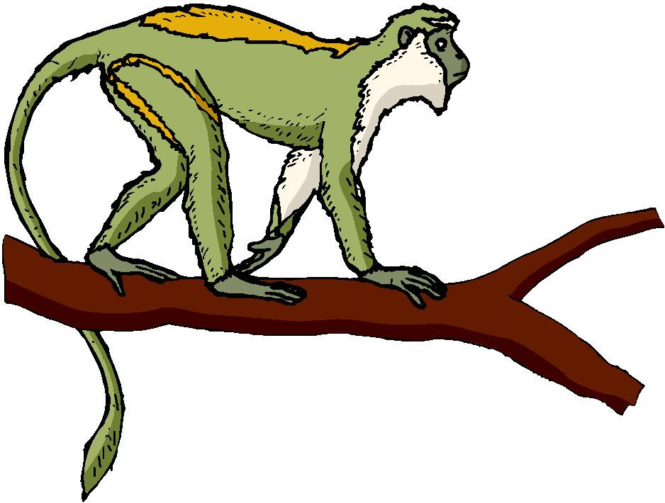 Monkeys clip art
