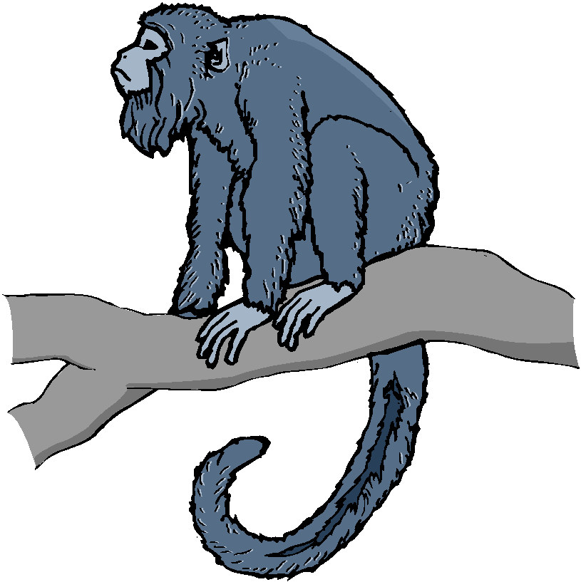 Monkeys clip art