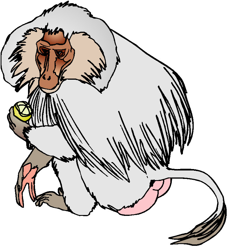 Monkeys clip art