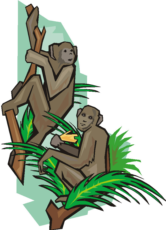 Monkeys clip art