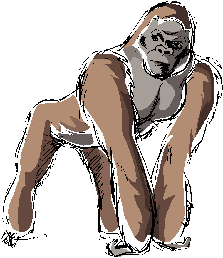 Monkeys clip art