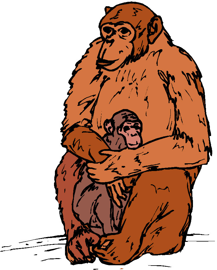 Monkeys clip art