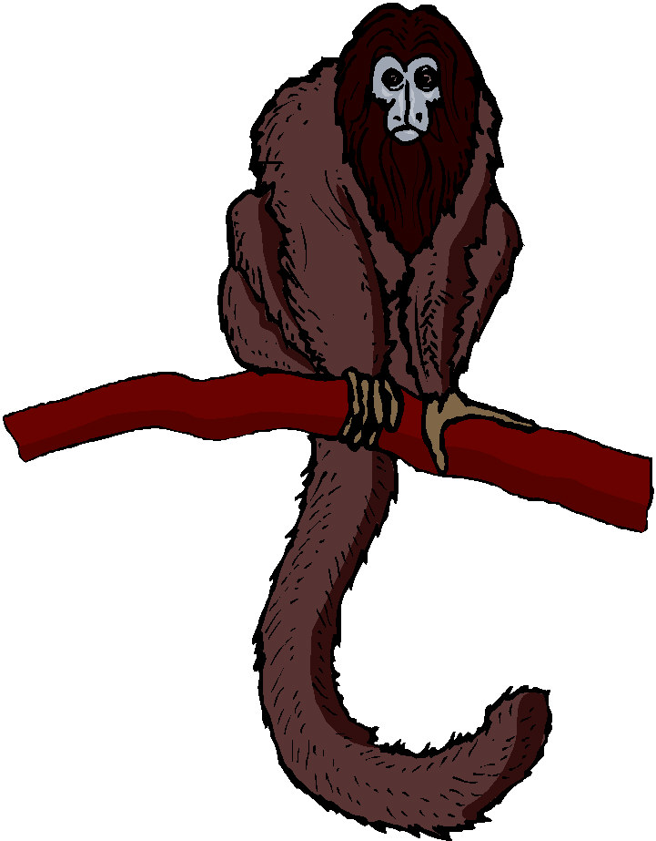 Monkeys clip art