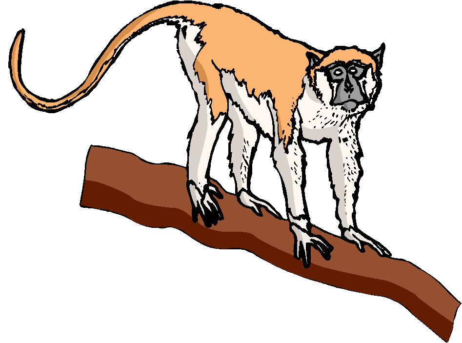 Monkeys clip art