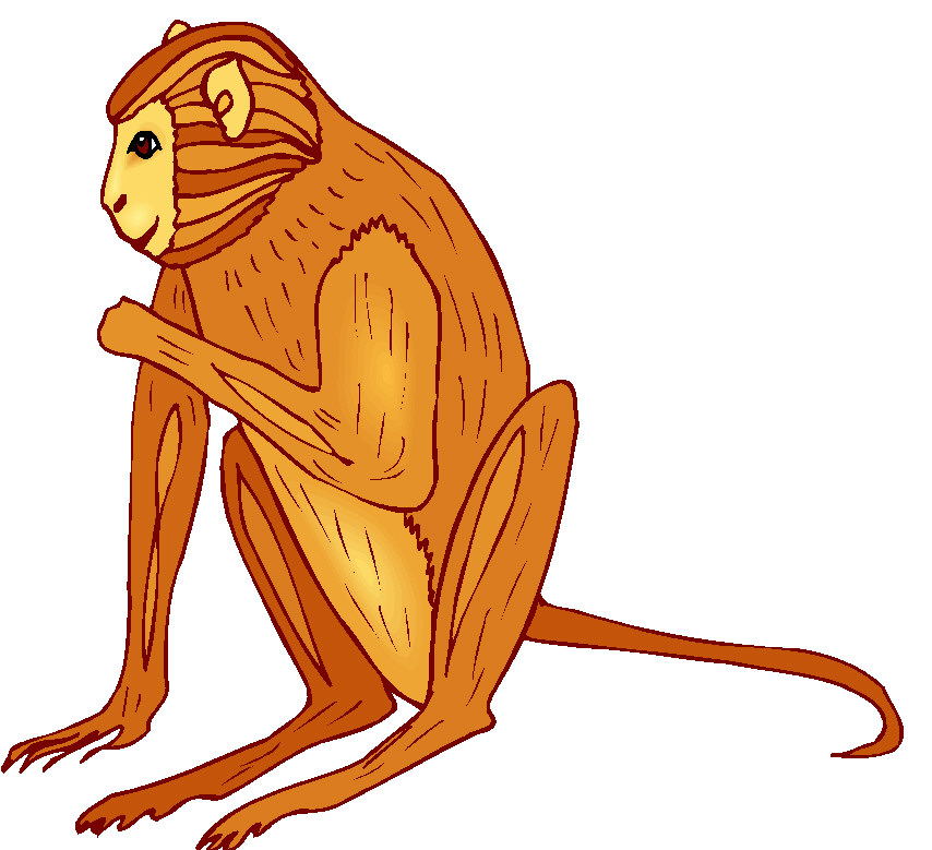 Monkeys clip art
