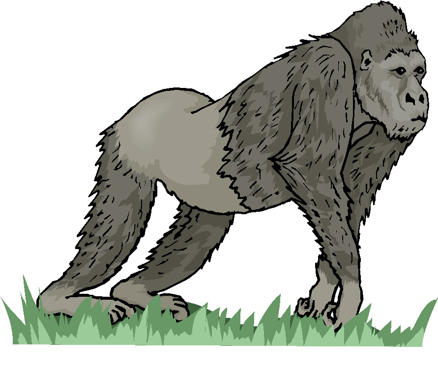 Monkeys clip art