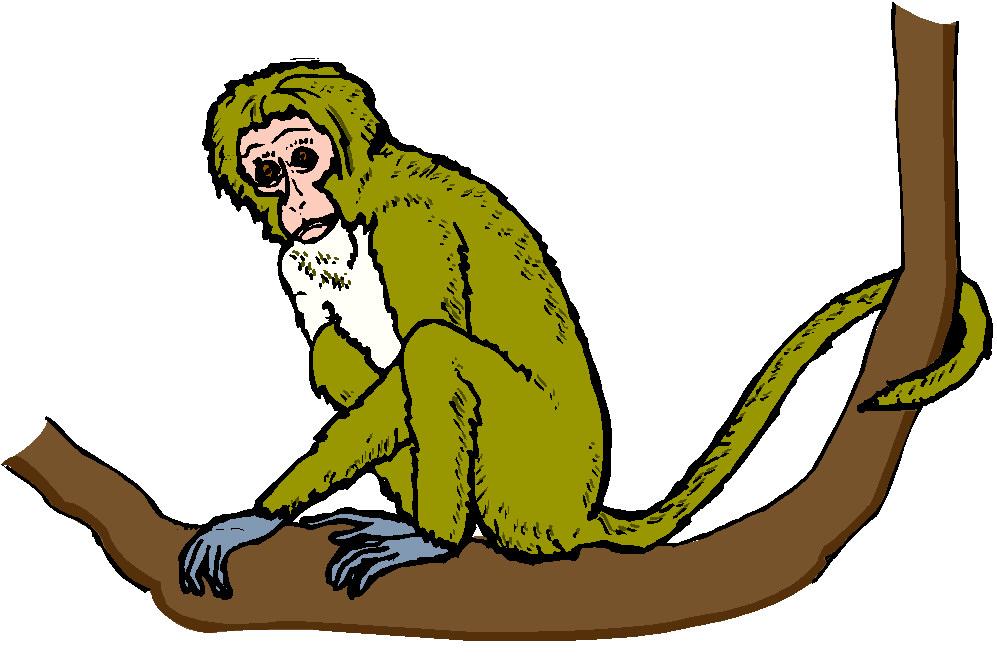 Monkeys clip art