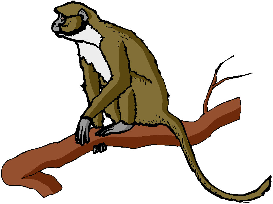 Monkeys clip art