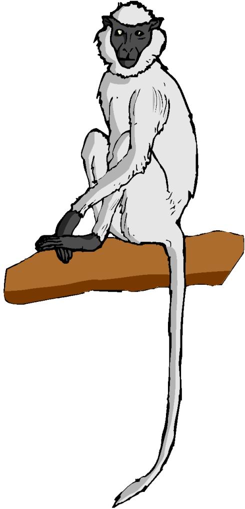 Monkeys clip art