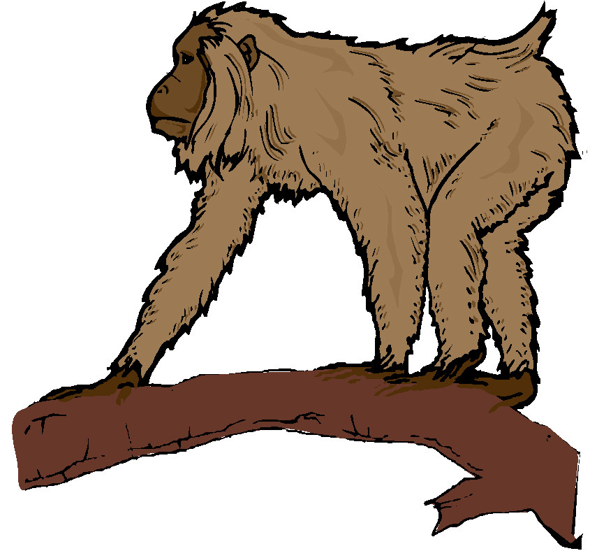 Monkeys clip art