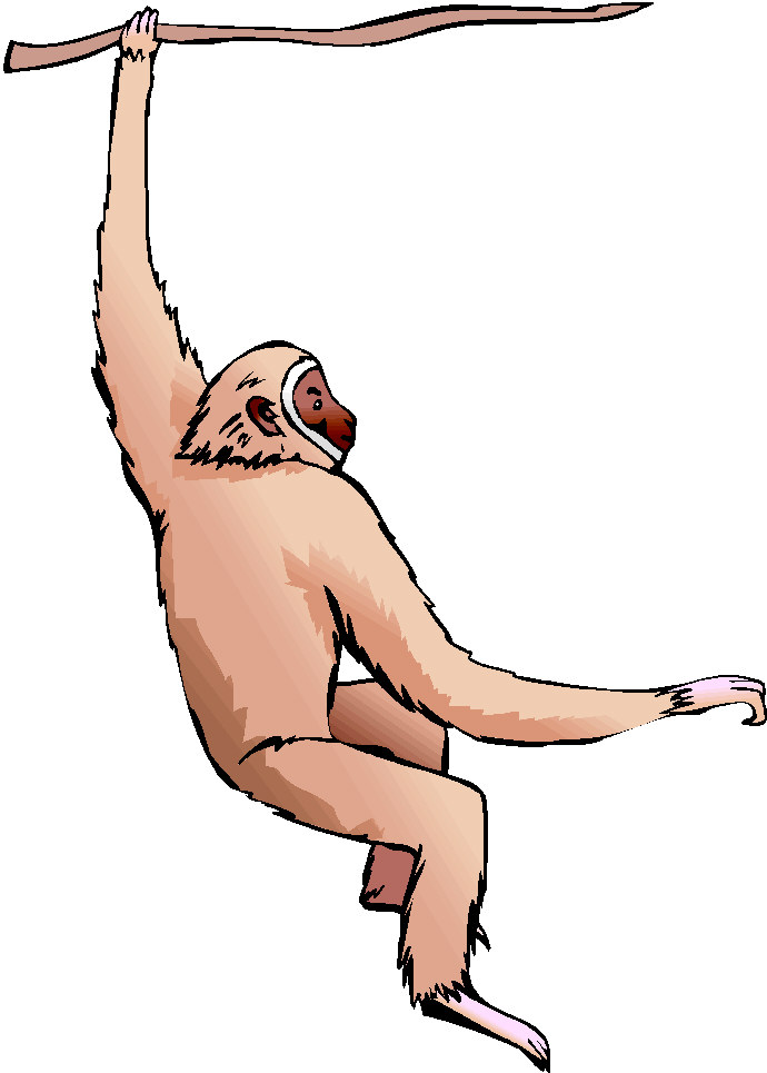 Monkeys clip art