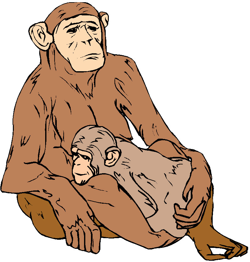 Monkeys clip art