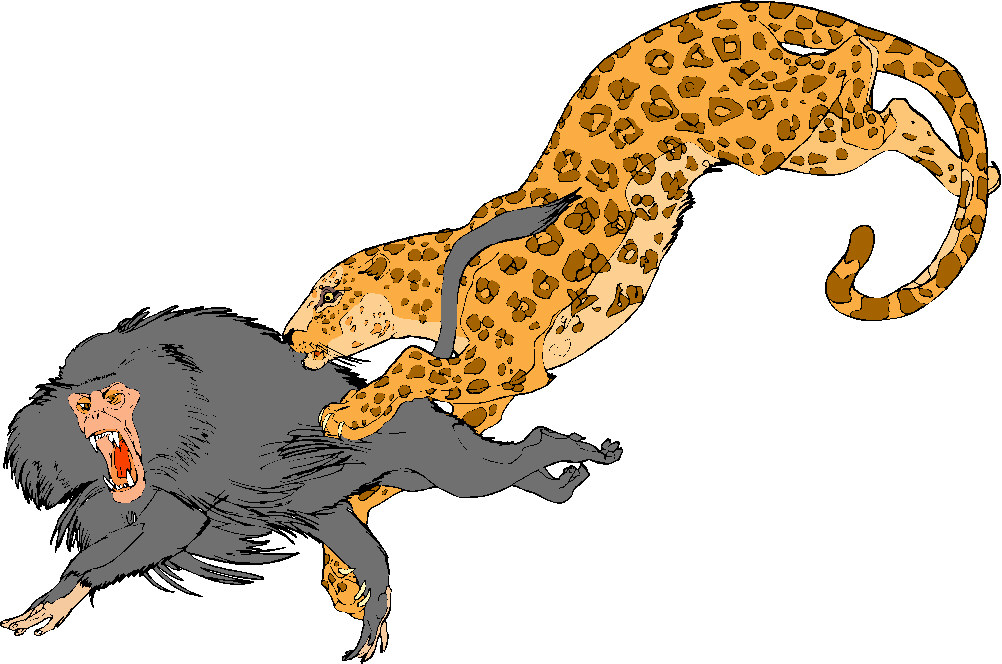 Monkeys clip art