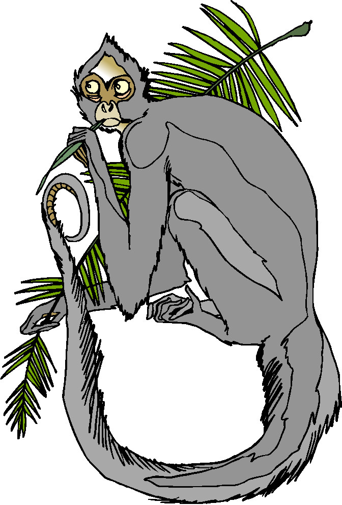 Monkeys clip art