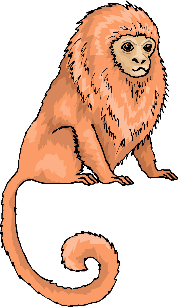 Monkeys clip art