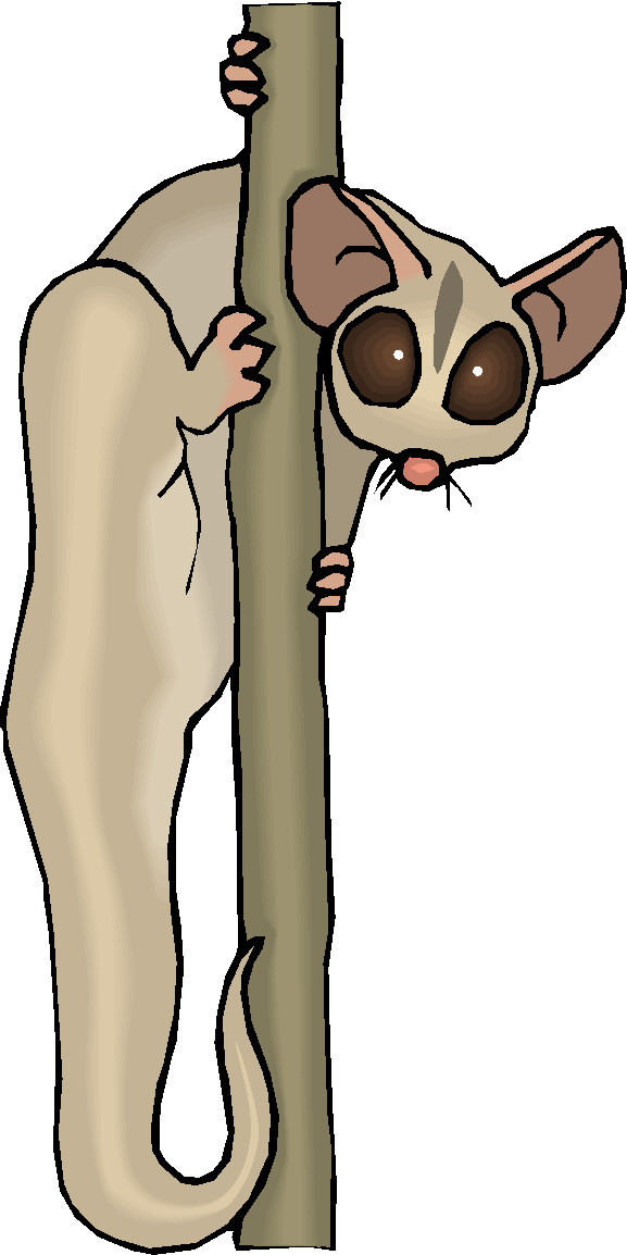 Monkeys clip art