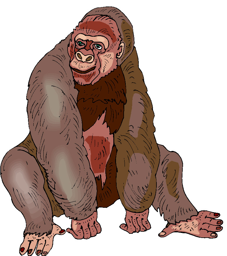 Monkeys clip art