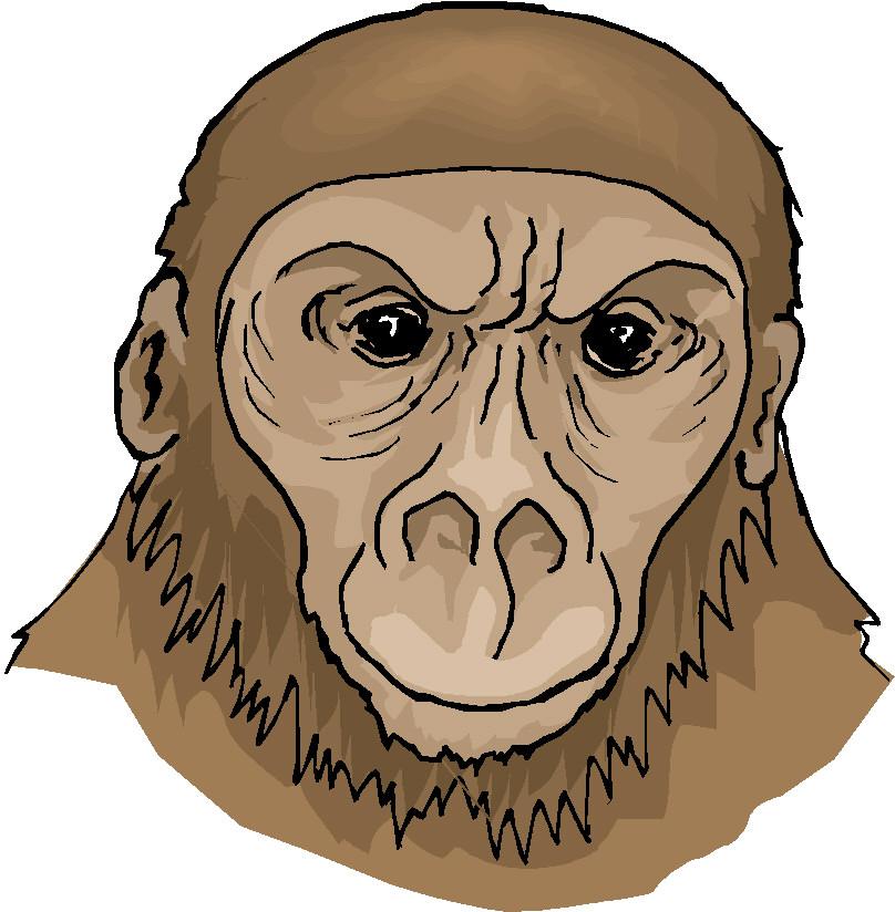 Monkeys clip art