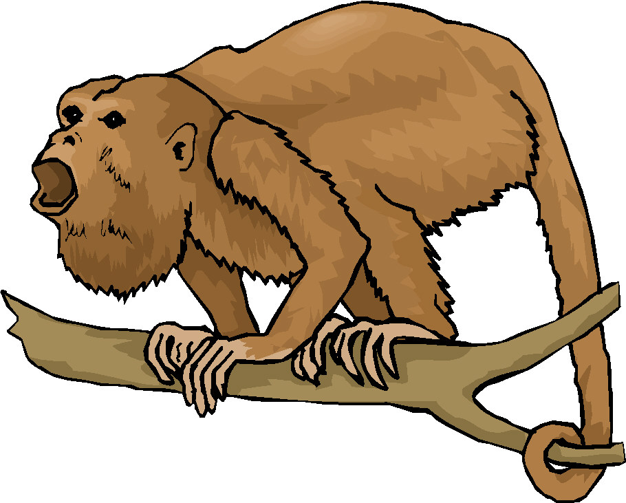 Monkeys clip art