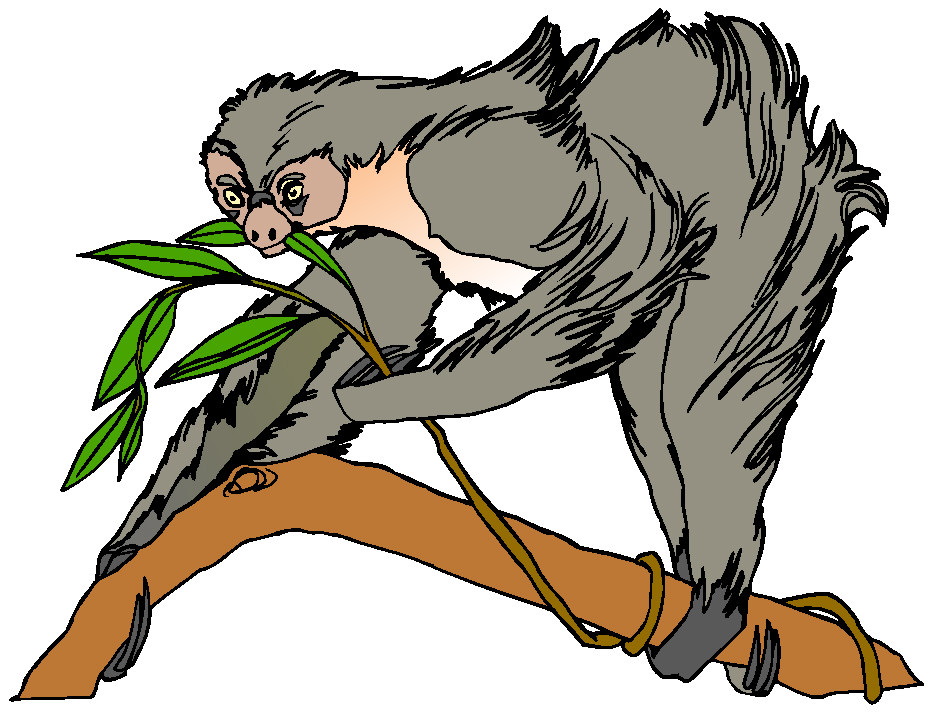 Monkeys clip art