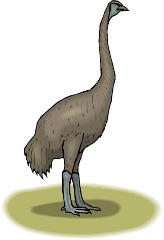 Ostriches clip art
