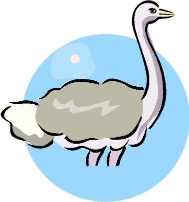 Ostriches clip art