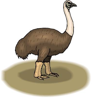 Ostriches clip art