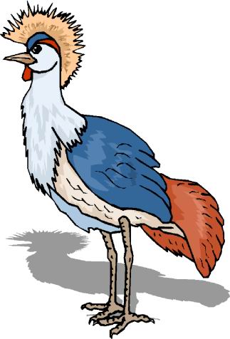 Ostriches clip art