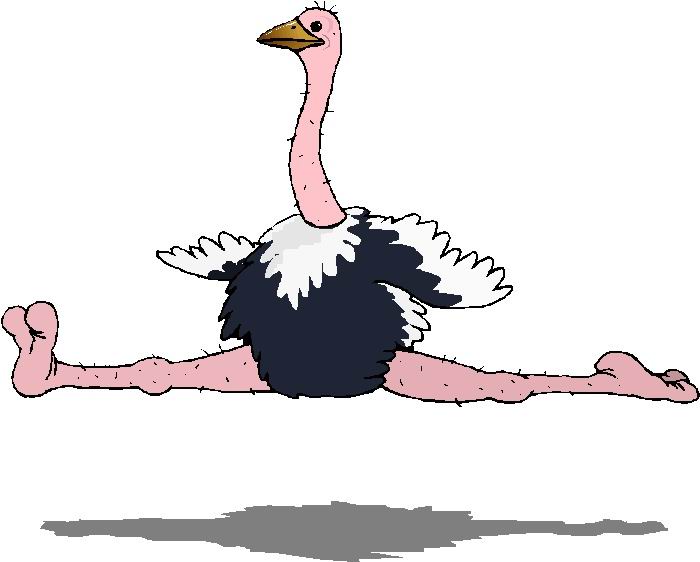 Ostriches clip art