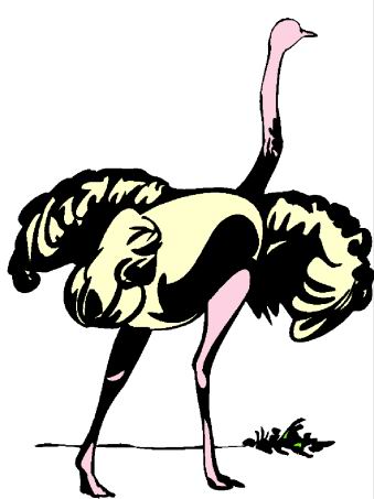 Ostriches clip art