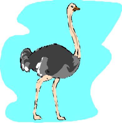 Ostriches clip art