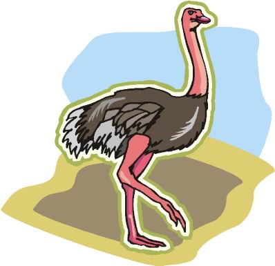 Ostriches clip art