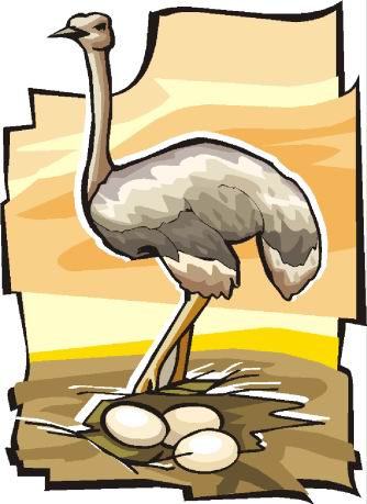 Ostriches clip art