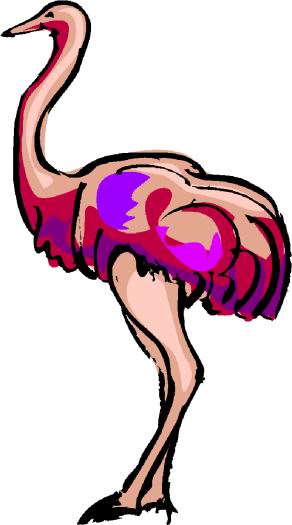 Ostriches clip art