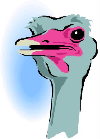 Ostriches clip art