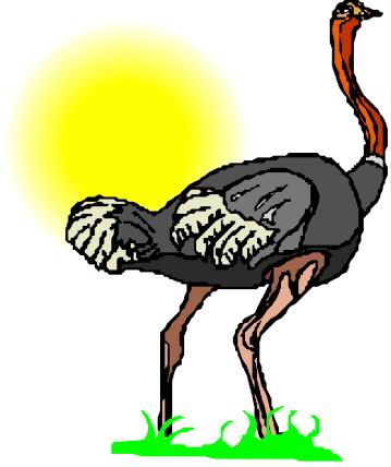 Ostriches clip art