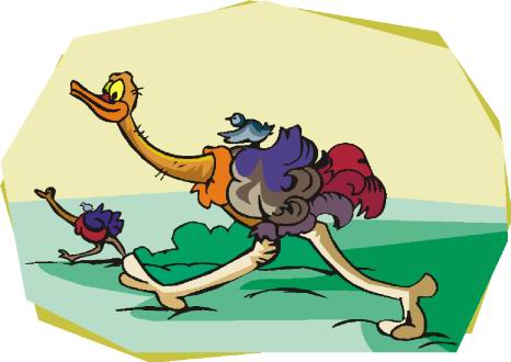 Ostriches clip art