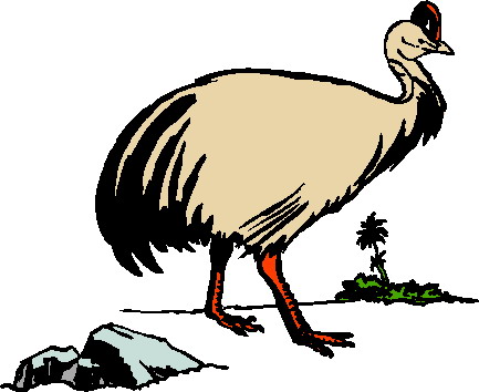 Ostriches clip art