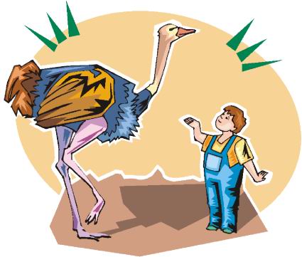 Ostriches clip art