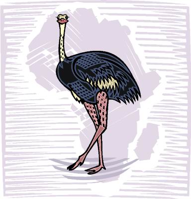 Ostriches clip art