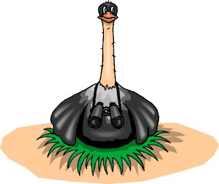 Ostriches clip art