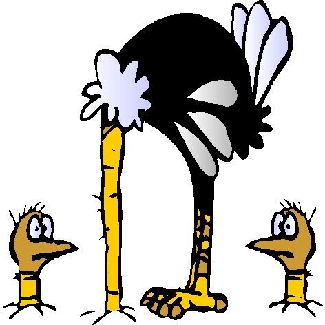 Ostriches clip art