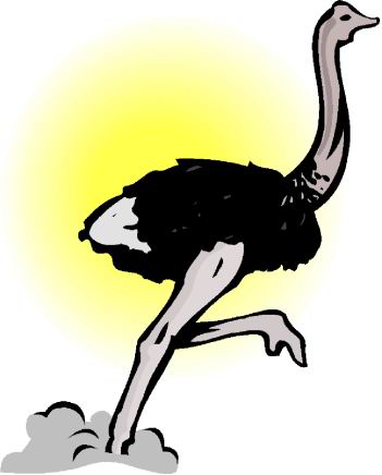 Ostriches clip art