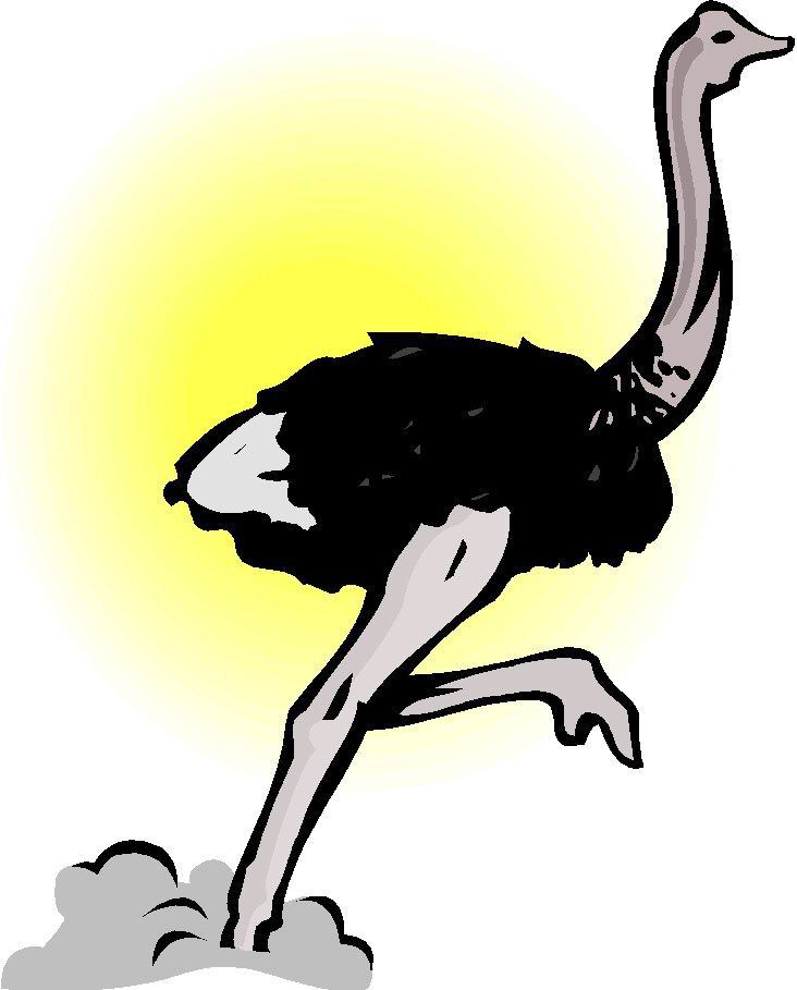 Ostriches clip art